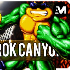 NES Battletoads  - Ragnarok Canyon Metal Cover