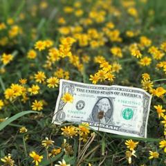 ZELLY LAVELL- Money Running ( Prod By Cam Beemer) VIDEO IN DESCRIPTION