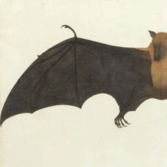 INCURABLE LUMP OF SALT