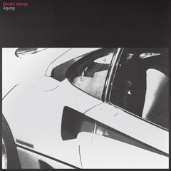 Dimitri Veimar - D.i.l.d.