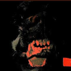 Kong.V12 - Get On Your Knees [Produced by Charles Apol]
