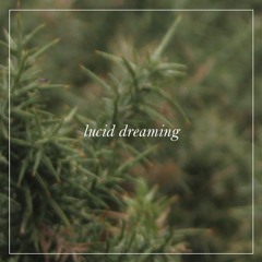 lucid dreaming [collab w/tgwog]