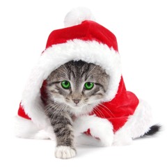 Happy Holidays Soundcloud Friends