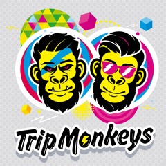 Trip Monkeys & Bastida Groove - Check This Out ( Original Mix )