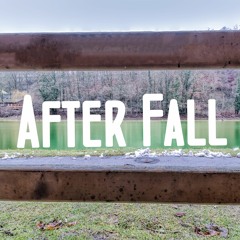 after fall