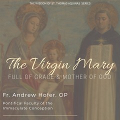 The Virgin Mary: Mother of God | Fr. Andrew Hofer, O.P.