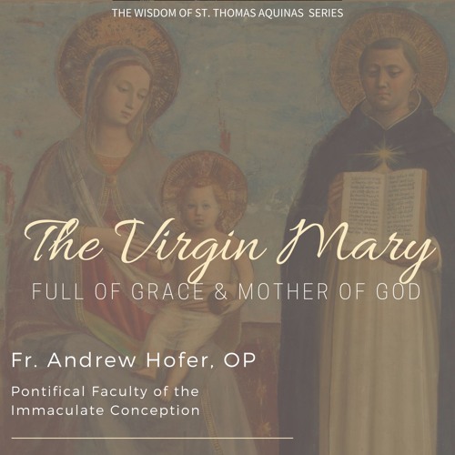 The Virgin Mary: Mother of God | Fr. Andrew Hofer, O.P.