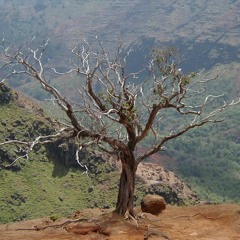 Flow Original track 2017