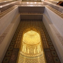 سورة الملك بصوت القارئ/ محمد علاء القطان