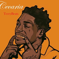TerryBeats X Cesaria