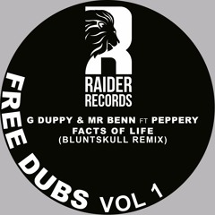 G Duppy & Mr Benn ft Peppery - Facts Of Life (Bluntskull Remix)