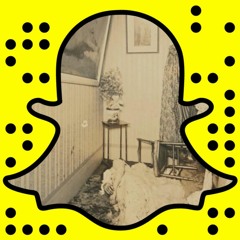 1 2  h o u r s  (FREE DL)