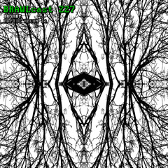 BRAWLcast 227 Bushby - Haptic Recon 11