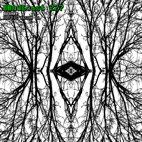 BRAWLcast 227 Bushby - Haptic Recon 11