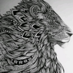 Gain Control - King Kali