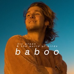 baboo ~ nic preen & the world of birds