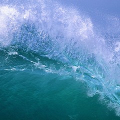 Vital Waves