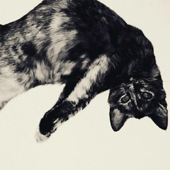 Paulina Przybysz - Dzielne Kobiety (Wojtek Famielec Remix 2017)