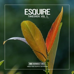 Calippo - Alive (eSQUIRE Groove Remix) - OUT NOW