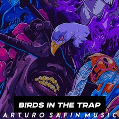 Birds in the trap