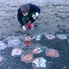 I år är det himlen som är vit