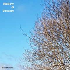 01 Pacific Rims (Mellow & Creamy - Final Moments)