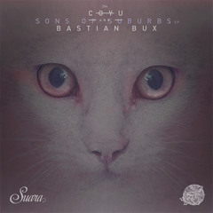 Coyu & Bastian Bux - Desire Walk With Me (Original Mix)