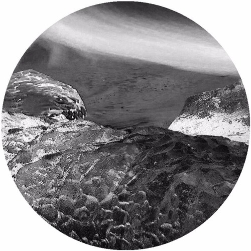 Free Downloads