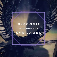 A Different Way vs No Letting Go (DJ Cookie & SyN Lambo Mashup)
