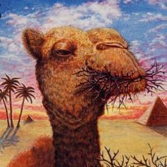 Chameau !