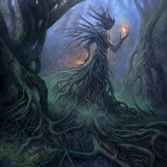 Forest Psy