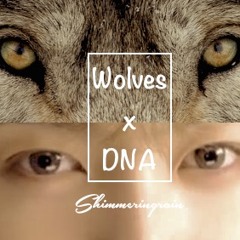 [English Mashup] BTS(방탄소년단)x Selena & Marshmello - Wolves DNA