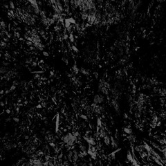 Emir Hazir - Template [Free Download]