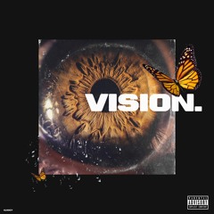 Vision