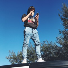 Fake Friends (Prod. Young Taylor)