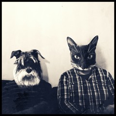 Osa 69 - Star Wars Episode VIII: The Last Jälkipyykkipäivä