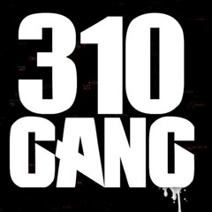 Ion Feel Da Pain ft 310Maine