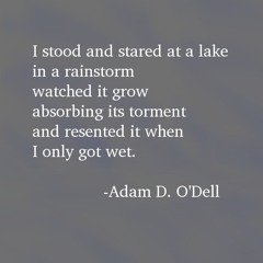 I stood and stared at a lake in a rainstorm