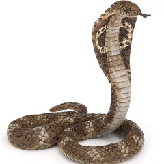 Snake Style 2 - PROMO CLIP