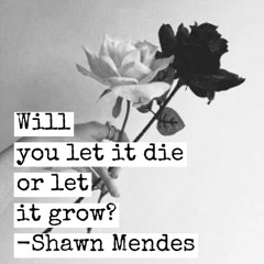 Roses (opb. Shawn Mendes) - arr. Sean Weisman (new version)