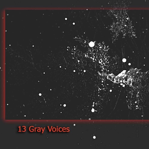 13 Gray Voices