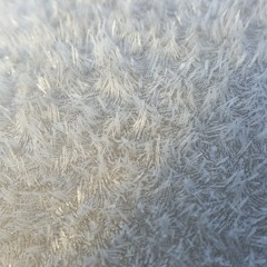 An Uncommon Freestyle (AUF)