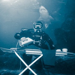 surface swimrabbit edit