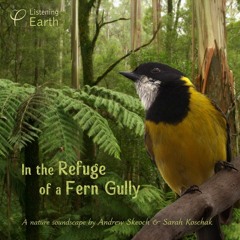 In the Refuge of a Fern Gully: Album Sample