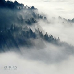 Melokind - Voices (Original Mix)