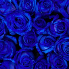 Restart (Rough Cut)(Prod. Cye)