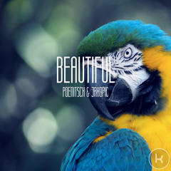 Poenitsch & Jakopic - Beautiful (Tom Appl Remix)