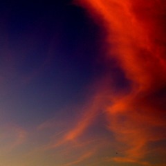 Shallertz - Impression