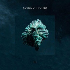 skinny living - let me in