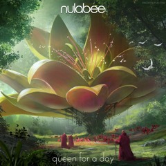 nulabee - Canyon Walls